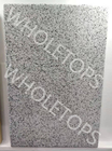 La imitación de mármol PVDF cubrió liso grabada en relieve grueso de aluminio del panel 1.5M M